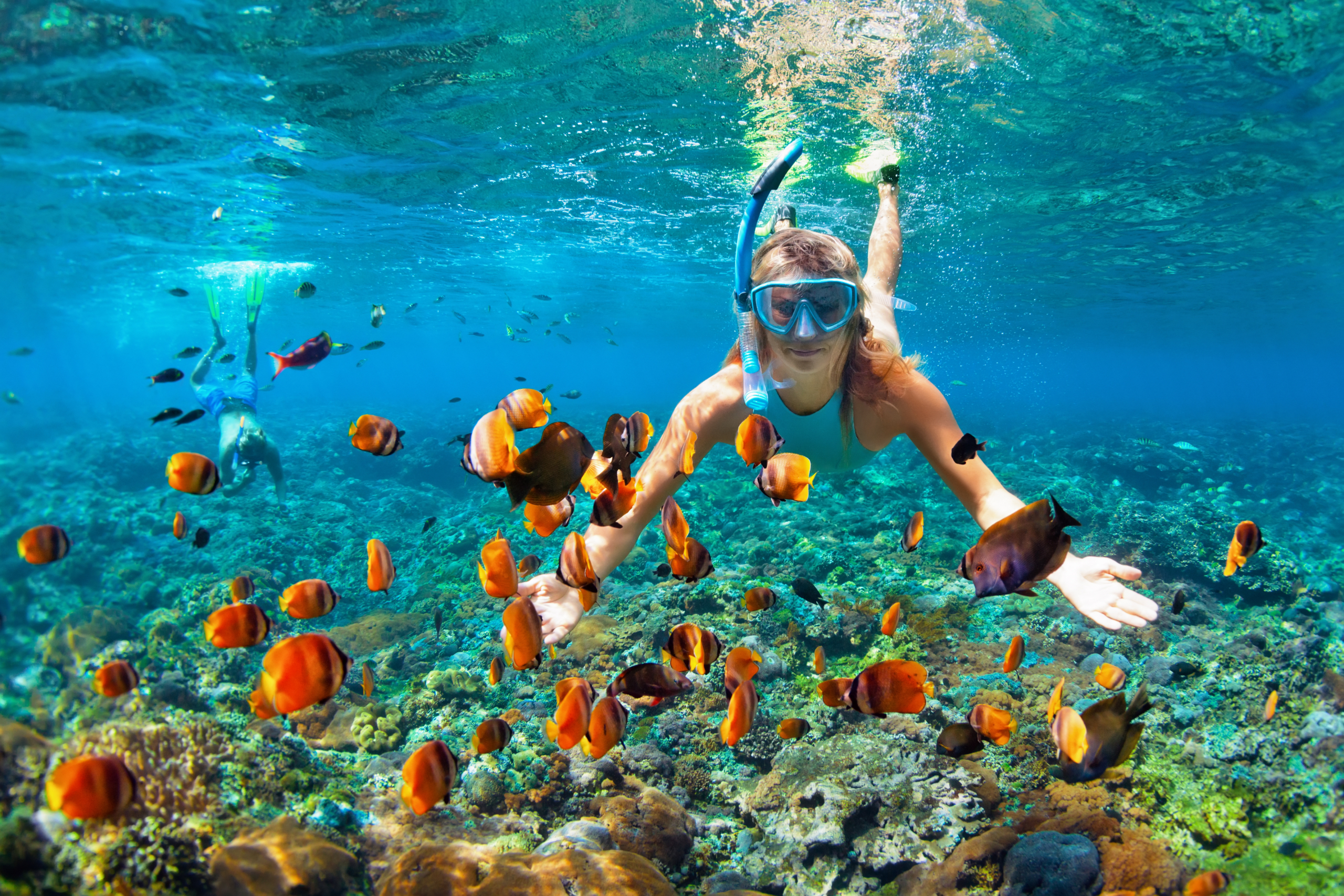 Happy family - couple in snorkeling masks dive deep underwater with tropical fishes in coral reef sea pool. Travel lifestyle, outdoor water sport adventure, swimming lessons on summer beach holiday